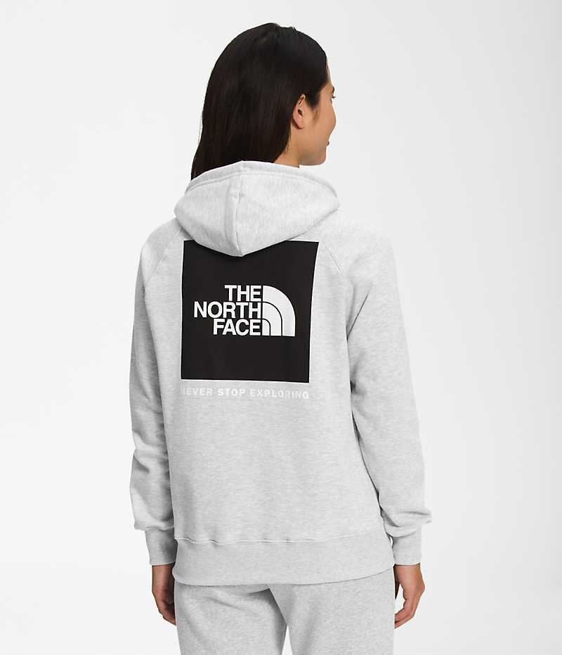 Sudadera con Capucha The North Face Box NSE Pullover Mujer Gris Claro | CHILE-FDRGB