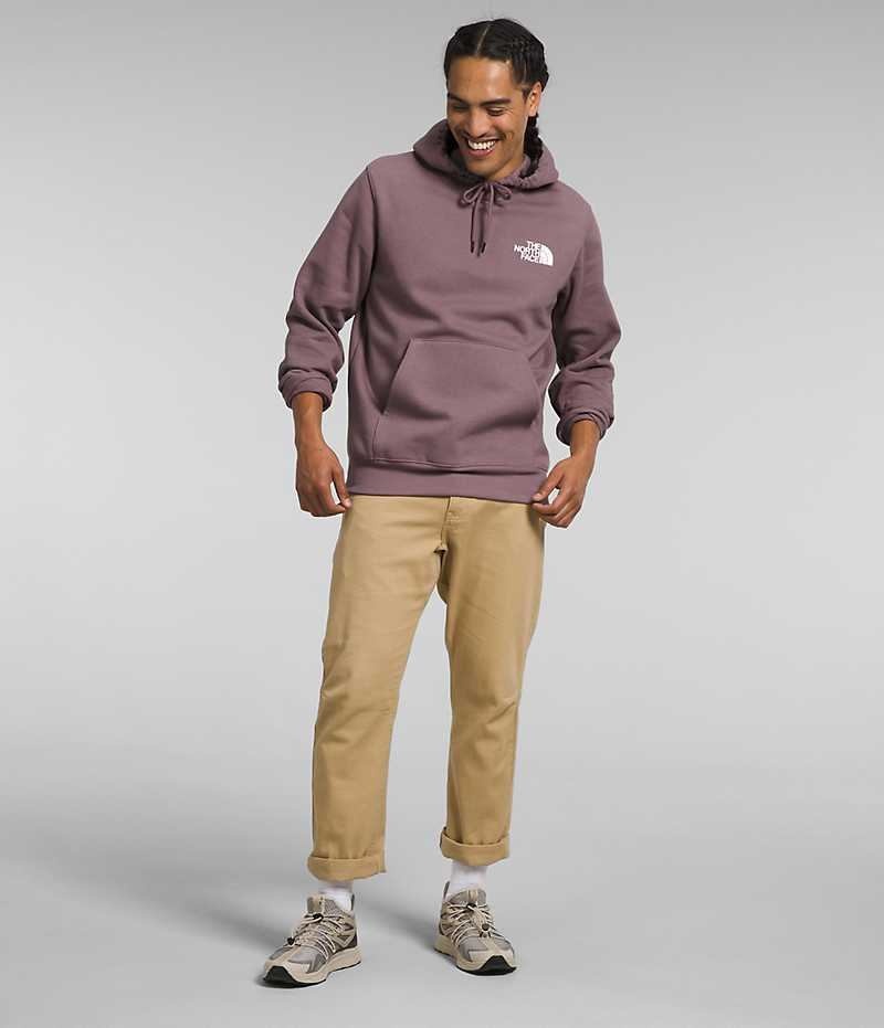 Sudadera con Capucha The North Face Box NSE Pullover Hombre Fucsia | CL-RAPKT