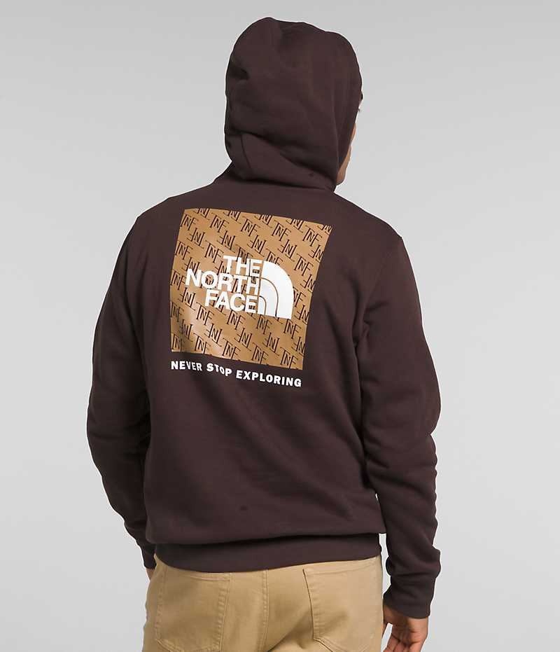 Sudadera con Capucha The North Face Box NSE Pullover Hombre Marrones | CL-XVIAK