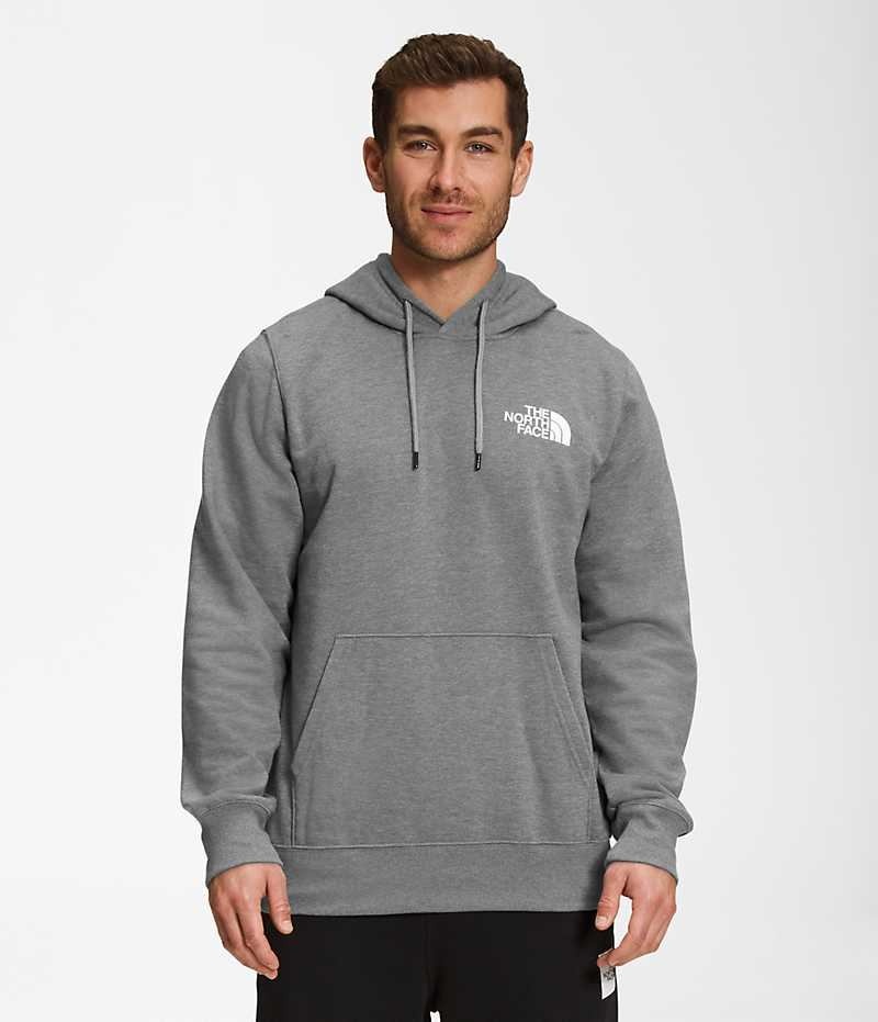 Sudadera con Capucha The North Face Box NSE Pullover Hombre Gris | CHILE-VKDFZ