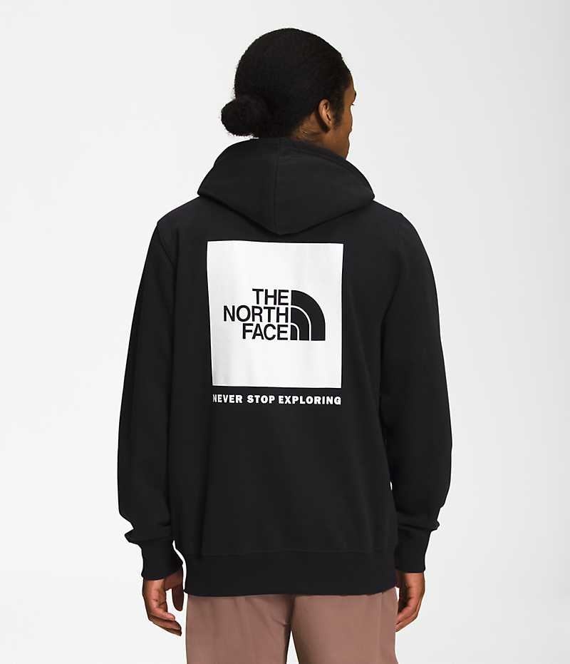 Sudadera con Capucha The North Face Box NSE Pullover Hombre Negras | CHILE-XZPYS