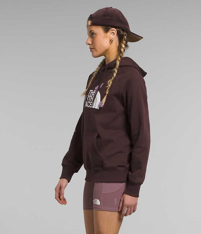 Sudadera con Capucha The North Face Brand Proud Mujer Marrones | CHILE-USMNV