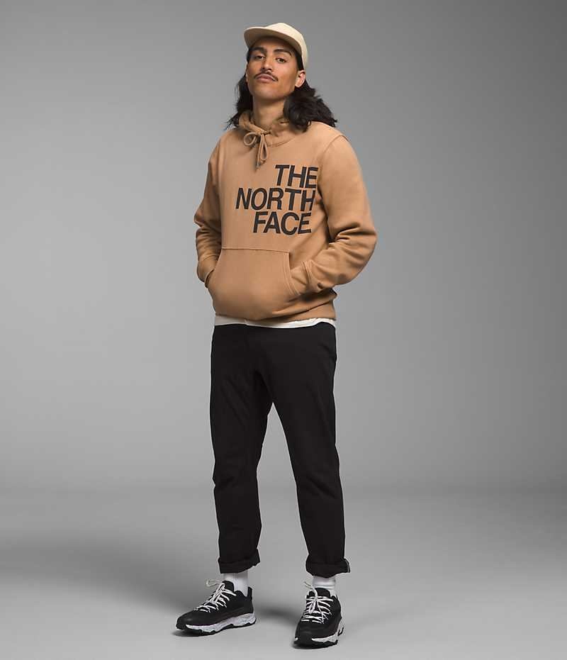 Sudadera con Capucha The North Face Brand Proud Hombre Kaki | CL-JITYH