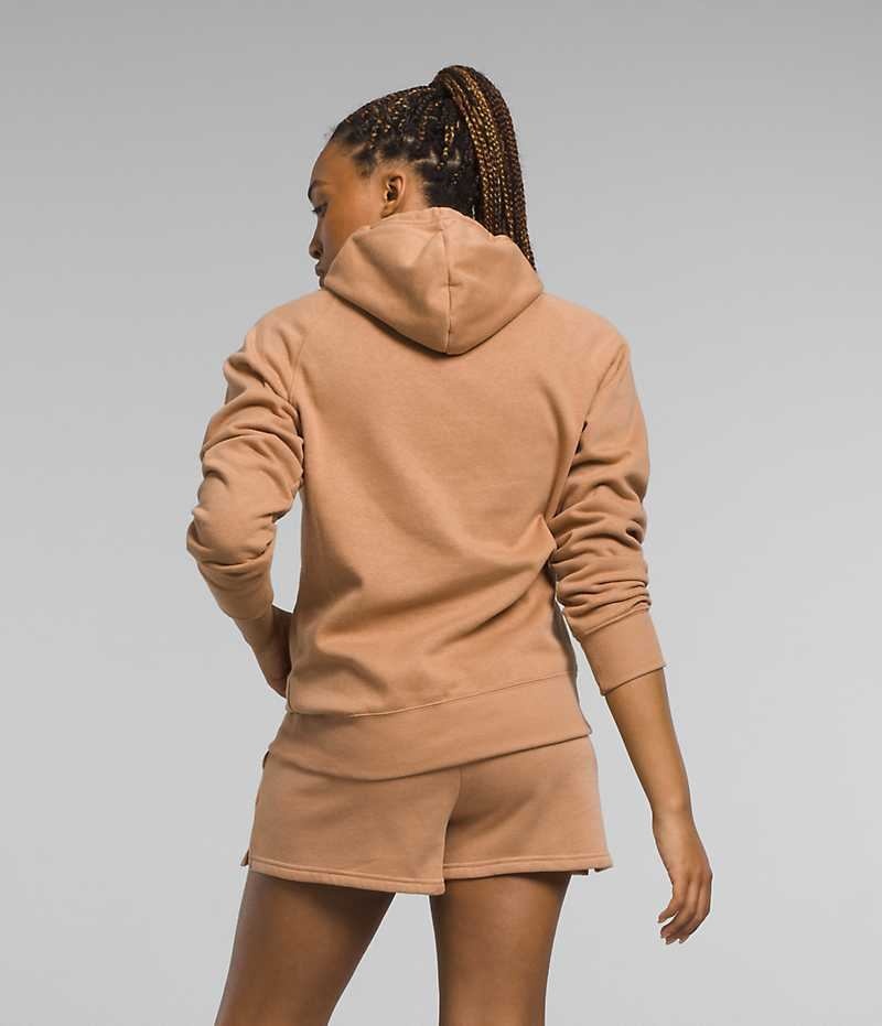 Sudadera con Capucha The North Face Half Dome Pullover Mujer Marrones | CL-ECION