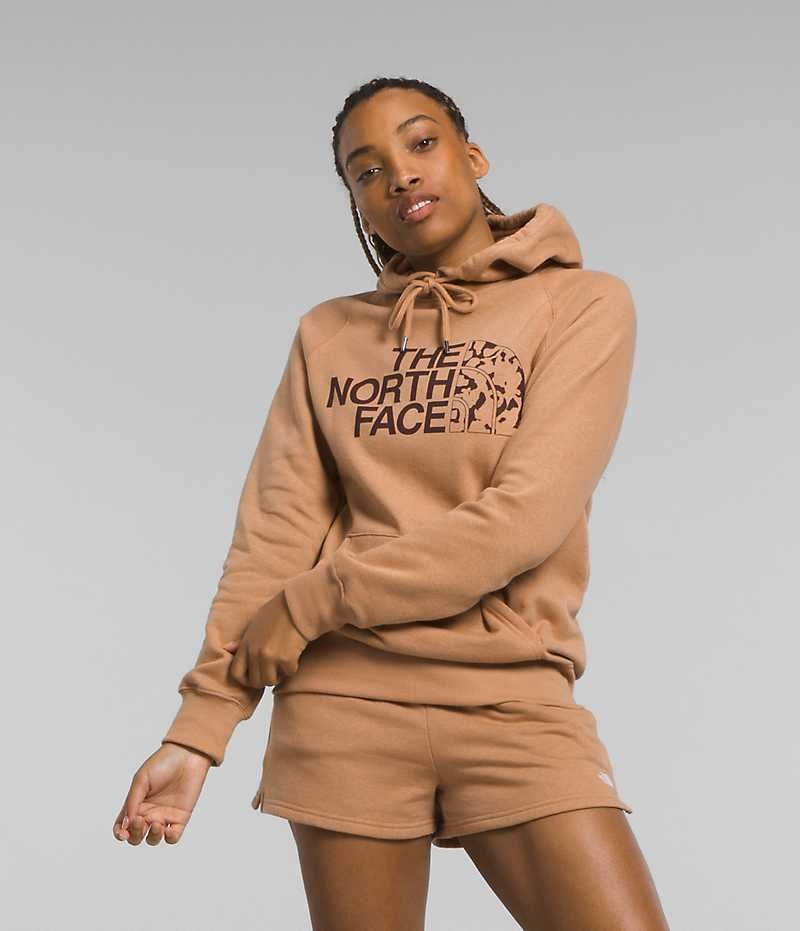 Sudadera con Capucha The North Face Half Dome Pullover Mujer Marrones | CL-ECION