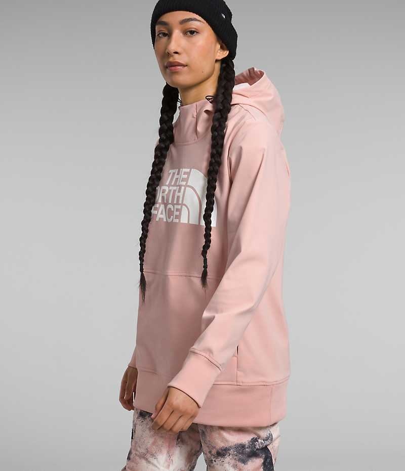 Sudadera con Capucha The North Face Tekno Pullover Mujer Rosas | CL-CWDQS