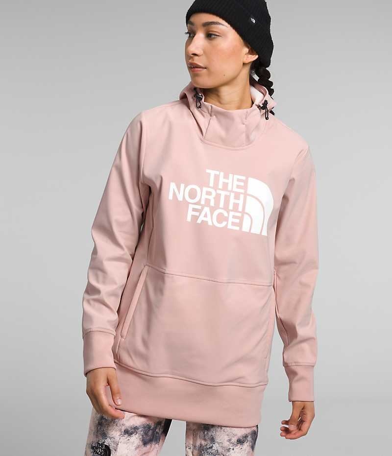 Sudadera con Capucha The North Face Tekno Pullover Mujer Rosas | CL-CWDQS